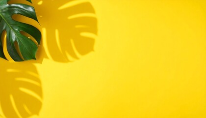 Top view of green tropical leaf Monstera shadow on yellow background. Flat lay. Summe 