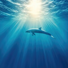 Fototapeta premium Majestic Humpback Whale Swimming in Sunlit Ocean Depths – Underwater Marine Wildlife Scene. World Whale and Dolphin Day