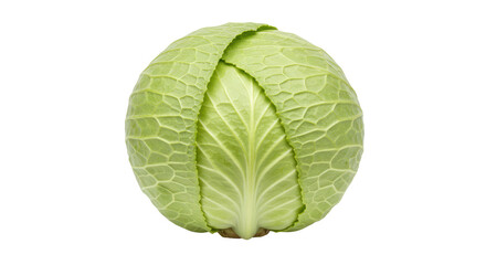 Isolated Cabbage