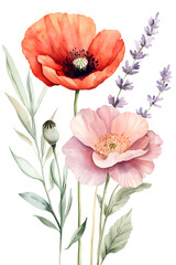 Naklejka premium Watercolor poppy, lavender, and pink flower bouquet with green leaves isolated on transparent background