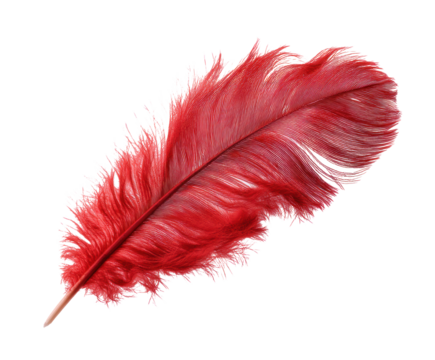Vibrant red feather for creative design and craft projects on a transparent background, cut out