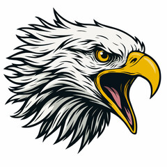 Fototapeta premium Bald eagle head