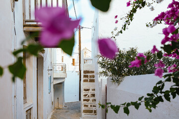 Bougainvillea flowers framing a picturesque Mediterranean alleyway in Plaka village, Milos island,...