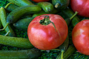 Juicy farm vegetables, cucumbers and tomatoes lying on the grass