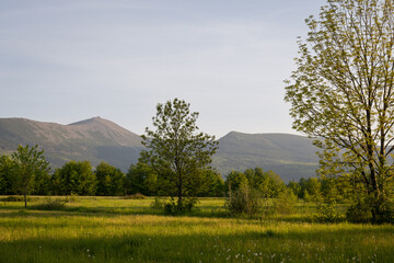 Sniezka Peak at Golden Hour - Karkonosze Landscape. Poland