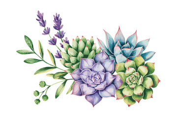 Fototapeta premium Green colorful succulent bouquets vector design objects. Eucalyptus selection, echeveria, herbs, various plants and leaves. Natural greenery set. All elements are isolated and editable