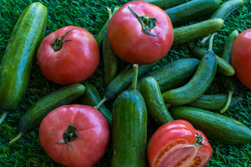 Juicy farm vegetables, cucumbers and tomatoes lying on the grass
