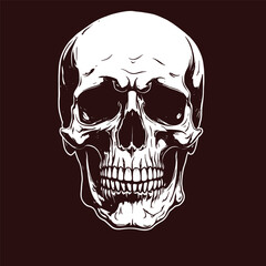 Stylized Skull With Dark Background