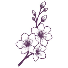 Floral Branch With Buds And Blooms