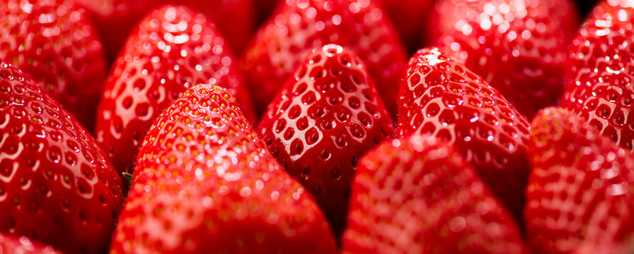 Strawberry, fresh ripe strawberries background close-up. Organic Vegetarian healthy food backdrop, macro shot 