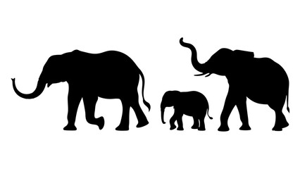 Fototapeta premium Silhouette Of Elephant Family in Harmony