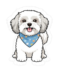 Havanese Dog with Bandana Illustration