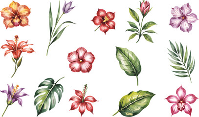 Tropical Flower and Leaf Watercolor Set – Exotic Botanical Clipart on White Background. © Joydeb
