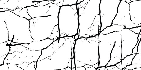 Deep cracks intertwine across a stark white surface, creating an abstract tapestry that showcases the beauty within destruction. Nature’s design captivates the observer’s imagination.
