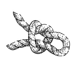hitch rope knot sketch hand drawn vector