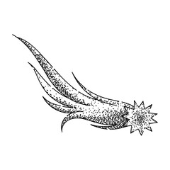 night shooting star sketch hand drawn vector