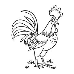 chicken with feathers and a big comb detailed vector illustration. Drawing