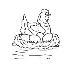 hen laying eggs vector illustrations. simple design