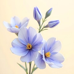Blue Violets Dancing on Creamy Canvas: A Serene Floral Harmony