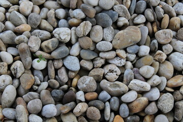 Smooth round pebbles texture background. Pebble sea beach close-up, dark wet pebble and gray dry pebble. natural gravel, texture from gravel. Gravel texture. Pebble stone background. Granite gravel
