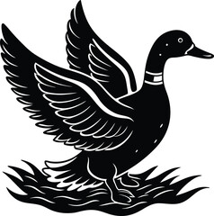 Obraz premium Duck Swimming on Pond