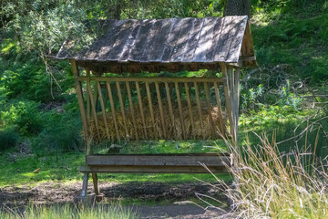 Old wooden hay feeder providing fodder in a lush green forest