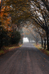 Obraz premium Beautiful scenic view on the rural area in the morning.