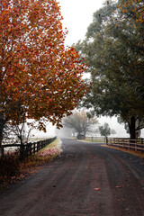Obraz premium Scenic autumn view in the rural area.