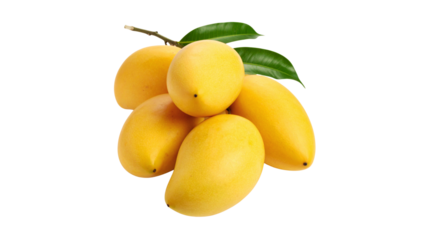 The bright yellow ripe mango looks delicious.