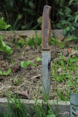 Garden knife concept. Knife stuck into the ground in the garden 
