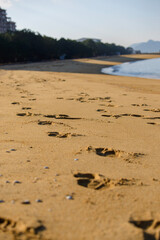 砂浜と足跡