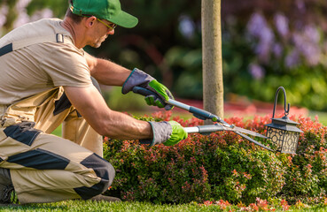 Gardener Trimming Bushes Near a Decorative Lantern in a Vibrant Backyard During Sunny Daylight