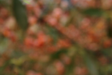 Autumn natural green and pink bokeh background. Blurred pink and green bokeh abstract background
