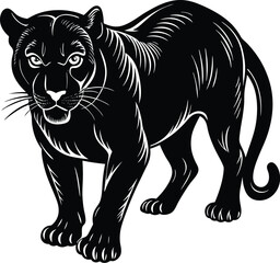 Fototapeta premium Panther in Stalking Pose