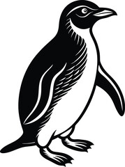 Obraz premium Penguin Waddling