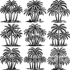 Fototapeta premium Nine vintage black and white palm tree illustrations