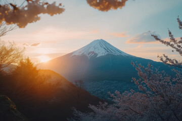 Fototapeta premium Mount Fuji rising behind cherry blossoms at sunrise in Japan