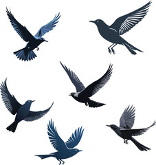 Fototapeta premium Silhouette of a bird flying free