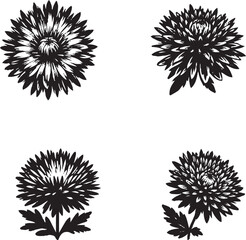 Black and White Floral Illustrations with Artistic Symmetry