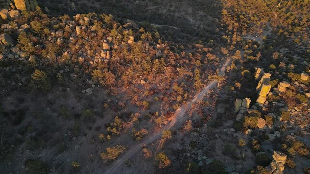 Golden hour light on rocky forested terrain in Valle de los Monjes, Chihuahua