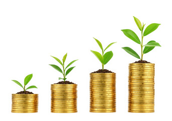 Growing plants on stacks of gold coins isolated on transparent background