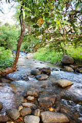 Rocky and stone on fresh stream and waterfall in natural tropical rain forest in Thailand

