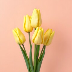 Fototapeta premium Radiant Yellow Tulips in Soft Suspension on Pastel Pink Background