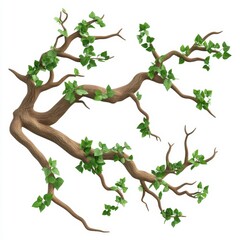 Fototapeta premium Twisted Wild Liana Vine, dense intertwined branches forming a natural frame, intricate textures, pure white background for clear isolation