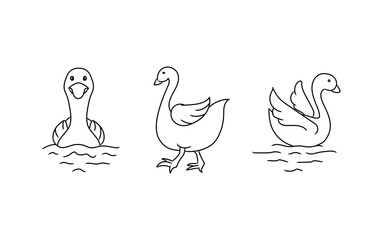 Swan Line Drawing for Kids Coloring Pages