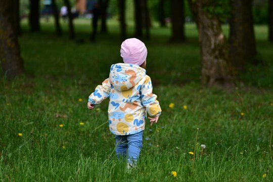 Anonymous little girl in blue jeans walking in park in cold weather spring. Toddler girl standing backwards and exploring nature in park. No face