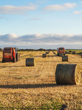 Two harvesters making hale bales in the sunshine