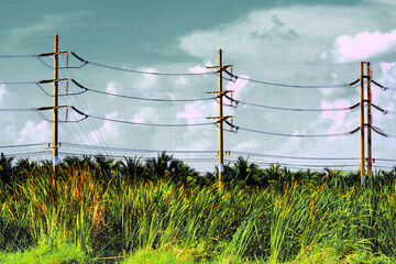 electric line