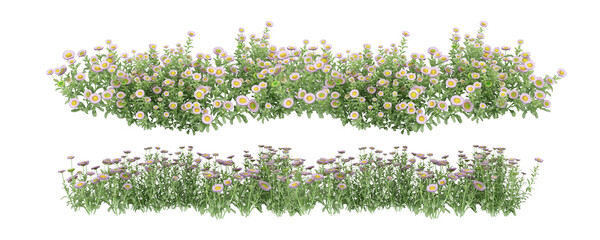 grass with flowers