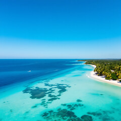 Tropical Paradise Beach: Turquoise Sea & Palm Trees
